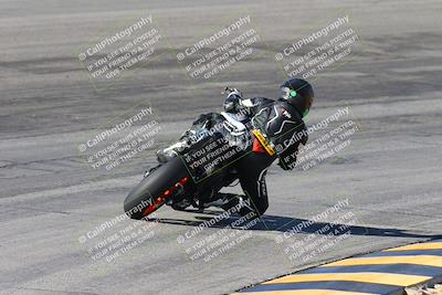 media/Feb-04-2024-SoCal Trackdays (Sun) [[91d6515b1d]]/4-Bowl Backside (11am)/